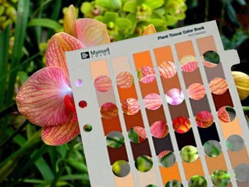 Munsell-Plant-Tissue-Book-of-Color-Charts-4