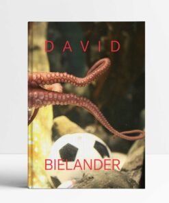 David Bielander: Twenty Years. 2016-1996