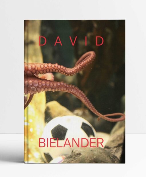 David Bielander: Twenty Years. 2016-1996