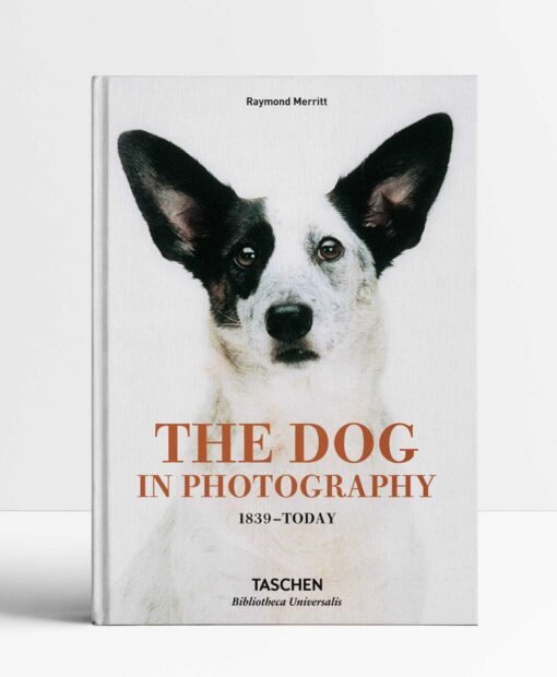 The Dog in Photography 1839–Today