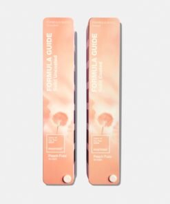 pantone_11_02_23_formula_guide